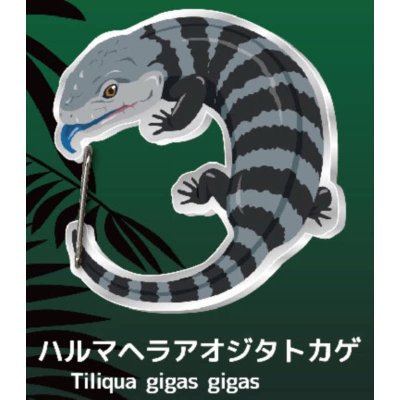 Gecko Lover Carabiner Gashapon - đánh giá và giá Capsule Toy Gashapon