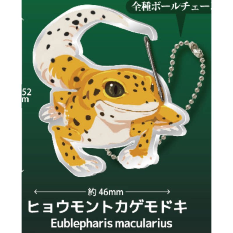 Gecko Lover Carabiner Gashapon - đánh giá và giá Capsule Toy Gashapon